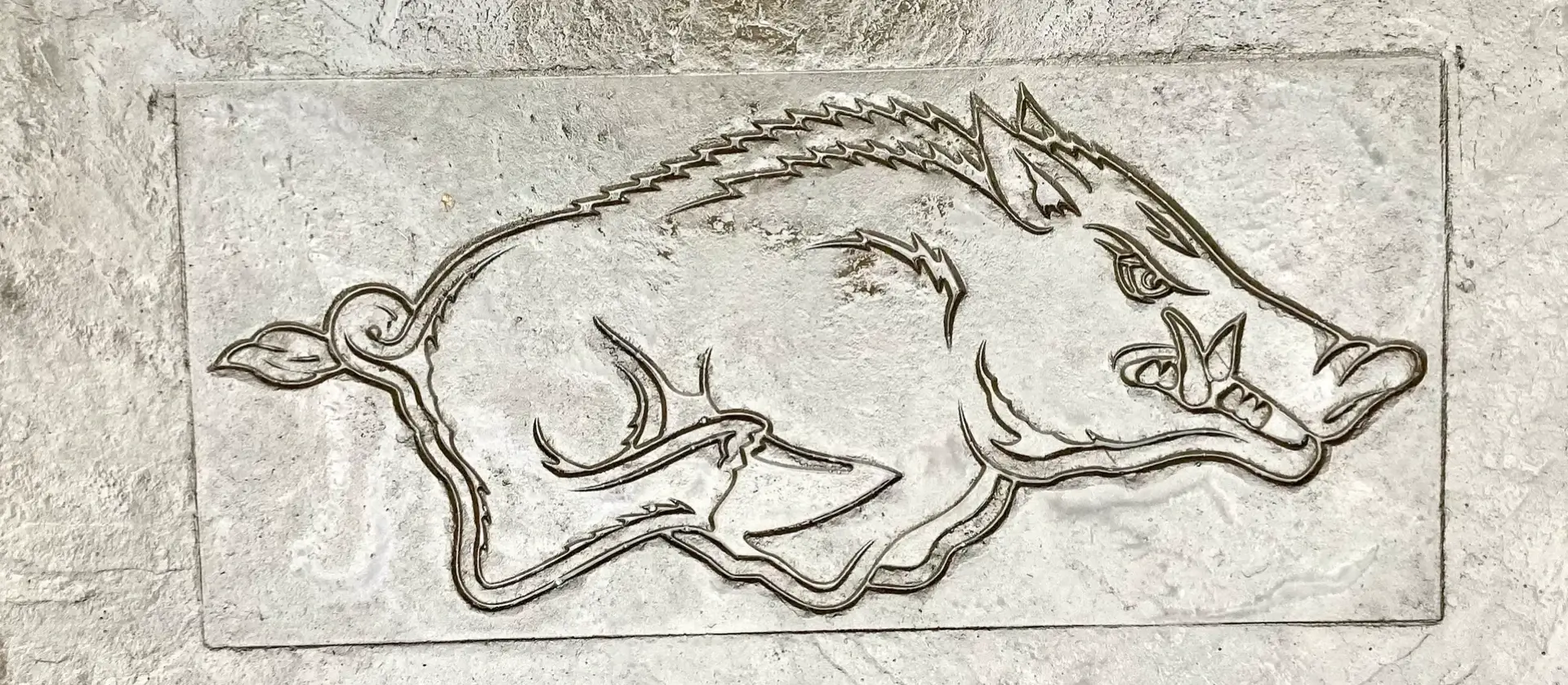 A picture of an animal carved into the ground.